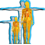 Group logo of fitco👨‍👩‍👧‍👦SUPPORT