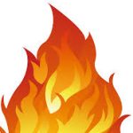 Group logo of fitco🔥RAPID B17